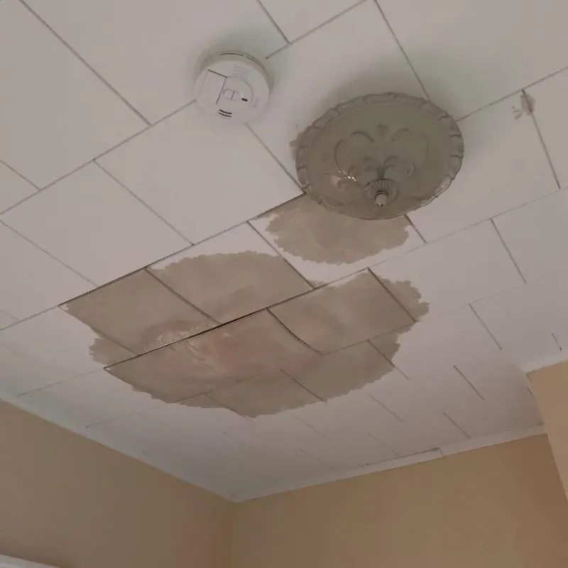 Ceiling Water Damage Repair in Fennimore, WI