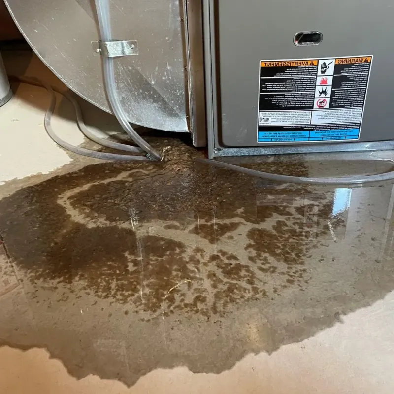 Pipe Burst and Leak Restoration in Fennimore, WI